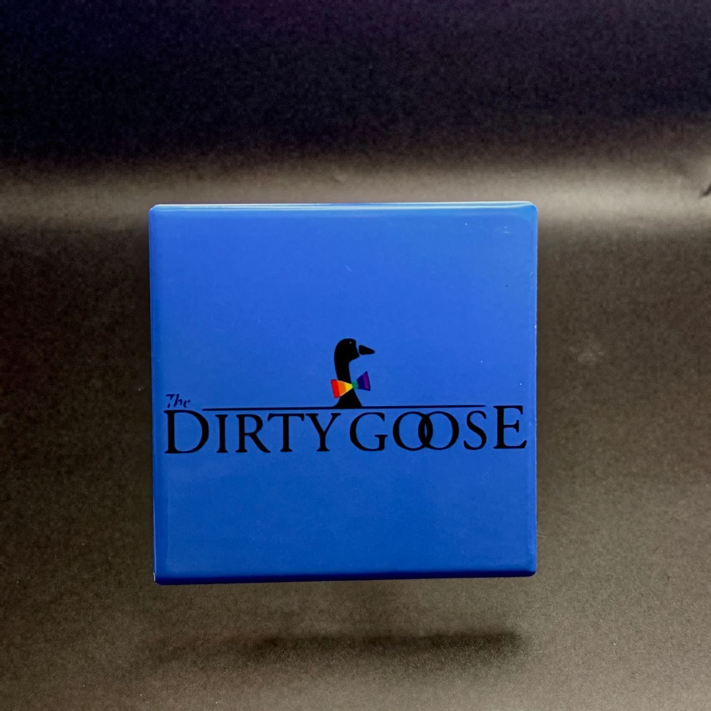 The Dirty Goose ceramic coaster — handmade DC gay bar nightlife art by Wicked Wicks and More