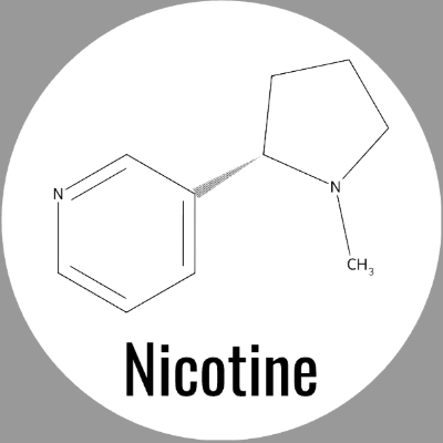 Round white nicotine molecule ceramic coaster with black artwork, labeled Nicotine; Scientific Names option.