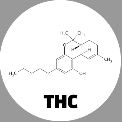 Round white thc molecule ceramic coaster with black artwork, labeled THC; Scientific Names option.